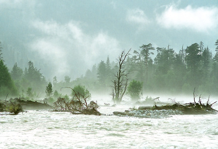 Mistery landscape on mountain river