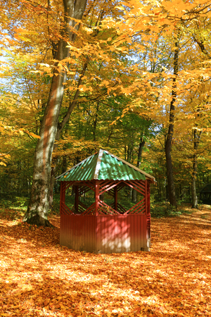 old wooden gadzebo in autumn parkの写真素材