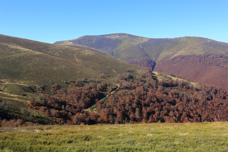 Autumn landscape in Carpathian mountainsの写真素材
