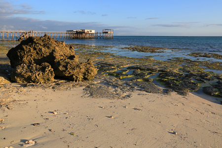 morning on ocean shore after low tide timeの写真素材