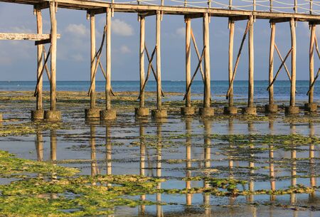 Piles of bridge on the ocean at low tide, Zanzibarの写真素材