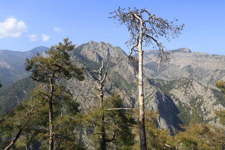 Nice mountain landscape in Turkey, Famous Likya Yolu tourist trail in mountains.