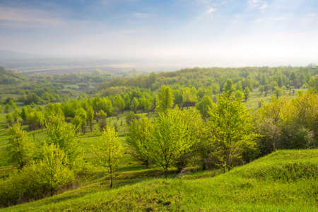 morning scene with green valleyの写真素材