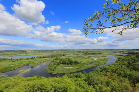 green tree branch at the top of the hill above the river delta below. Take it in Ukraine, Poltava,...