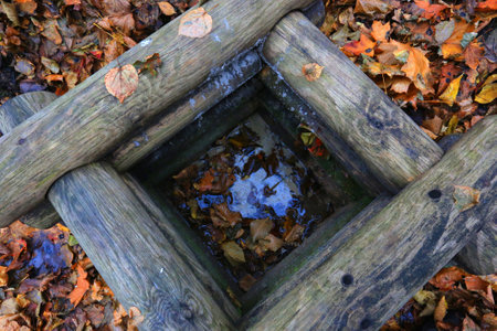 log well in autumn forest