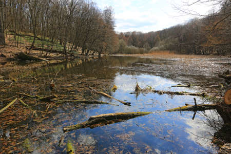 landscape with old wild lake in spring forest