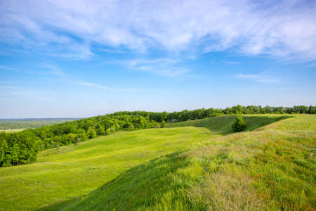 Green grassland on hill at spring timeの写真素材