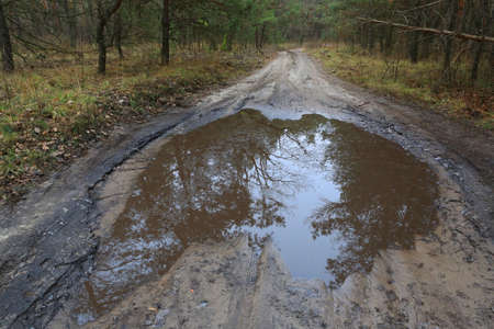 Puddle on forest road in autum timeの写真素材