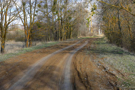 scene with dirt road in spring grove