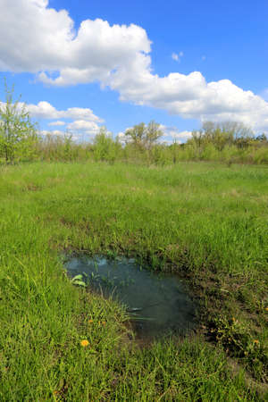 landscape with puddle on green spring meadowの写真素材