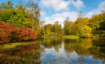 Nice autumn landscape with small lake in park