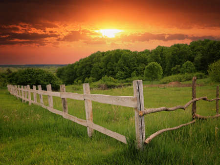 Landscape with wooden fence on green meadow on sunset sky background