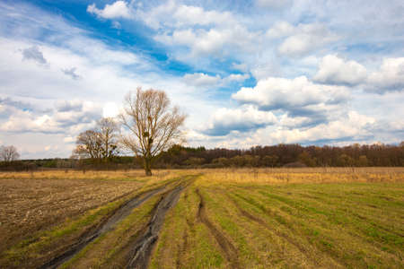 Spring landscape with dirt rural road in the steppe. Take it in Ukraineの写真素材