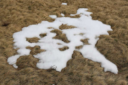 Last melted snow on spring grass - abstract backgroundの写真素材