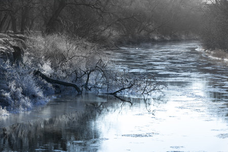 Morning landscape with First frost on river in forest. Take it in Ukraine