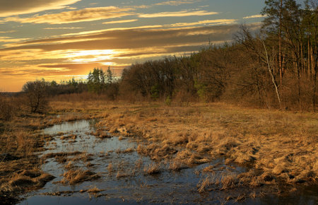 Spring landscape with flooded meadow in forest on sunset sky background. Take it in Ukraine