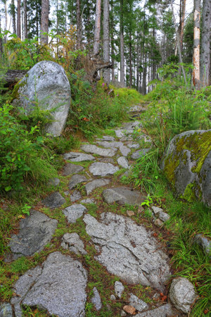 stone pathway in green mountain forest in Tatras in Slovakiaの写真素材