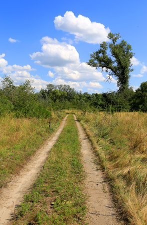 summer landscape with ground road in steppeの写真素材