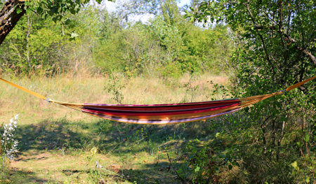 nice hammock in the shade of trees at the campsiteの写真素材