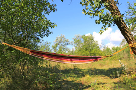 hammock in the shade of trees at the summer campsiteの写真素材