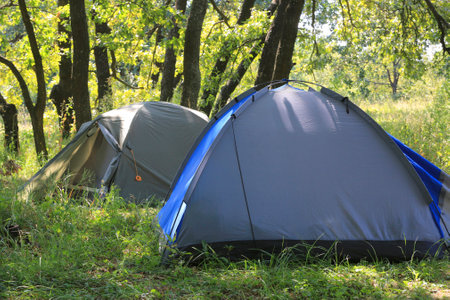 modern touristic tents in forest camp in summer forestの写真素材