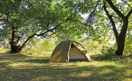tourist tent on meadow in forest campの写真素材