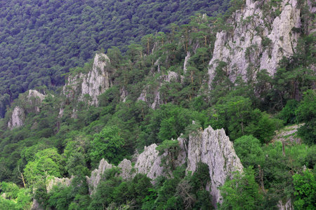 Landscape with mountain rocks among forest in valleyの写真素材