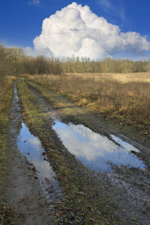 Autumn scene with puddles on dirt roadの写真素材