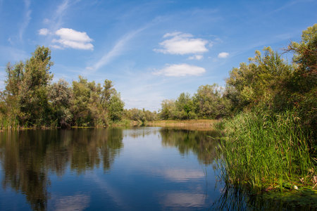 summer landscape on small river in Ukraine.の写真素材