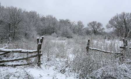 winter landscape with wooden fence of old pasture in forestの写真素材