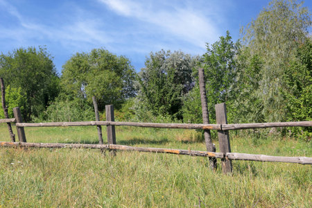Landscape with old wooden fence on green summer meadowの写真素材