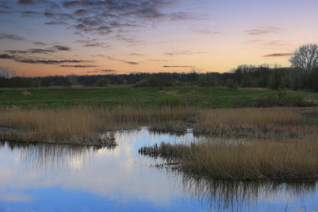 evening landscape on lake shore in steppeの写真素材