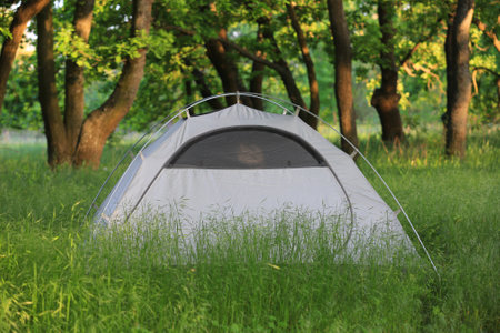 spring landscape with tourist tent in green grass in aok forestの写真素材