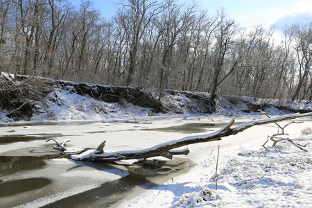 landscape with old dead tree in frozen riverの写真素材