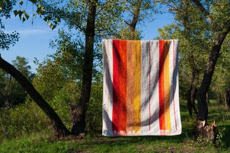 towel on a rope in a summer forest campingの写真素材
