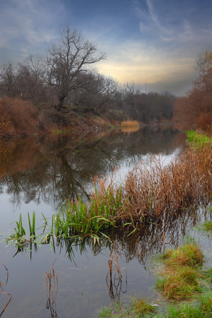 Autumn landscape with evening river in forestの写真素材
