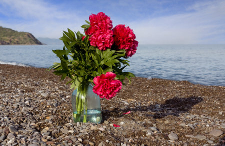 Landscape with bouquet of red peonies in a glass jar on the sea coastの写真素材