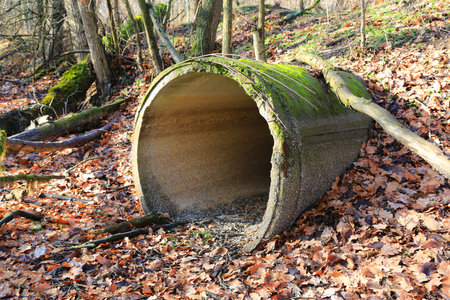 view on old concrete sewer pipe in autumn forestの写真素材