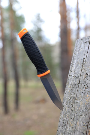 Abstract survival  knife stuck in wood in forestの写真素材