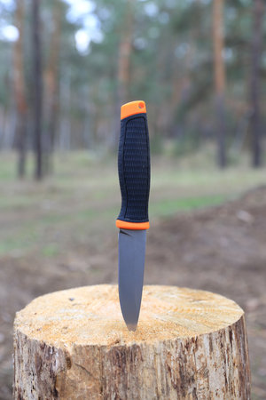 knife stuck in wooden stump in forestの写真素材