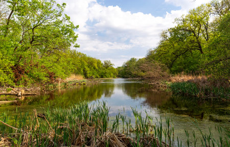 A tranquil river winds through a dense forest, its calm surface mirroring the vibrant foliage and...