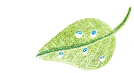 Hand drawn pencil drawing of a green leaf with water drops.の写真素材