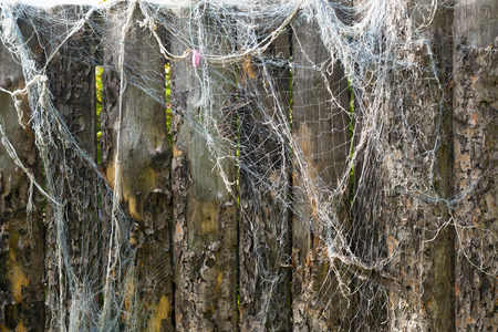 Is an old fishing net on the fenceの写真素材