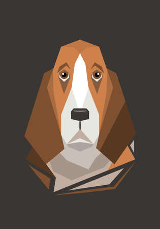 Dog. Breed of dogs. Basset hound. Geometric illustrationのイラスト素材