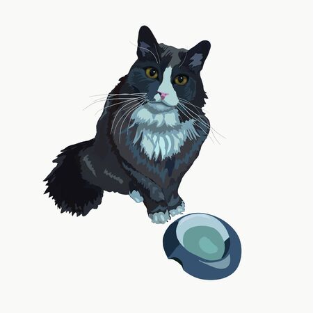 Cat asks for food vector illustrationのイラスト素材
