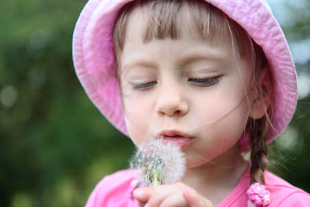 Beautiful little girl on a lawn with dandelionsの写真素材