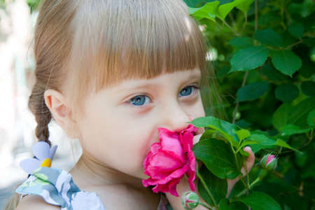 A Little girl smelling a red roseの写真素材