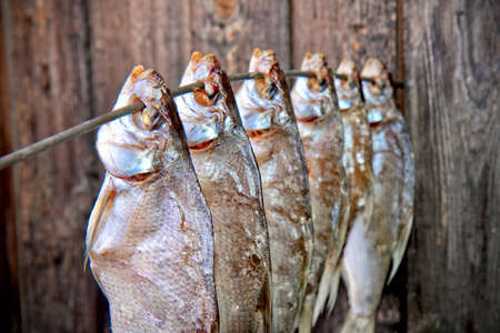  bunch of salted fish on a wooden wall backdropの写真素材