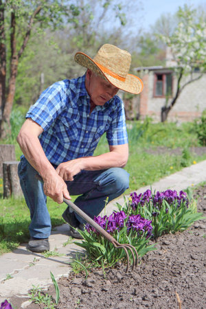 mature man working in the gardenの写真素材