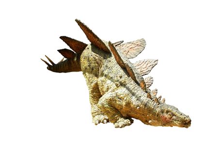 Dinosaur on the white backgroundの写真素材